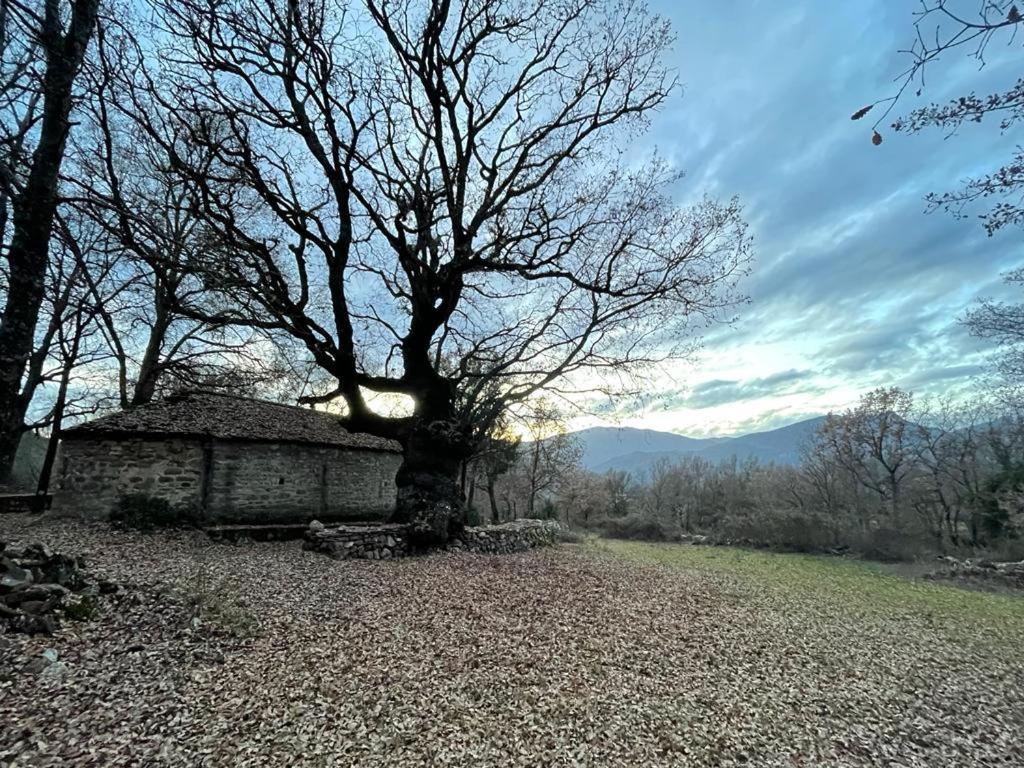 Laspuña Casa Rural " El Retiro"ヴィラ エクステリア 写真